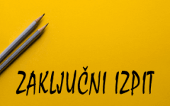 zakljucni-izpit