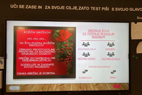 Božični srečelov (3)