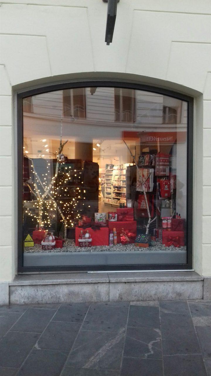 DM Ljubljana (4)