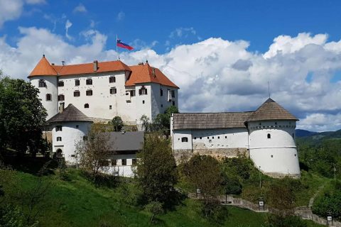 Velenjski grad